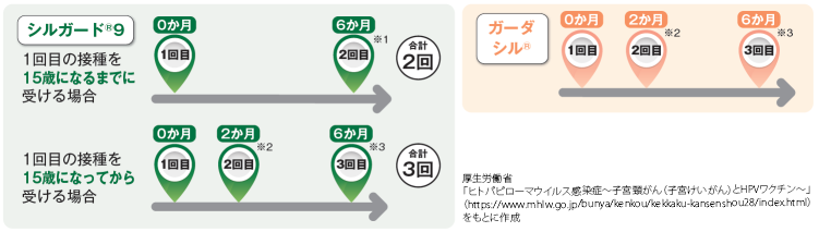 HPV���N�`��