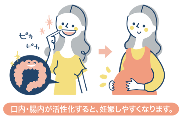 口内・腸内環境 口内・腸内環境と妊娠