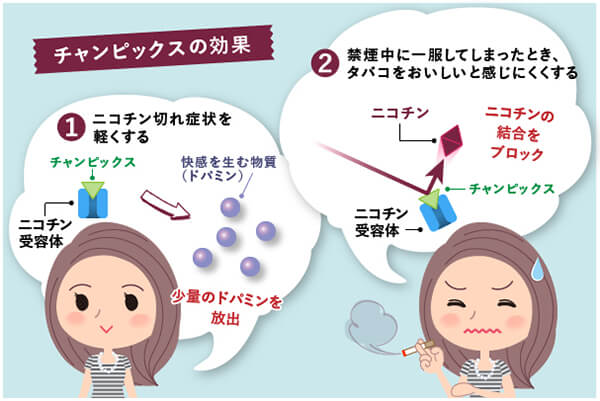 チャンピックス作用機序
