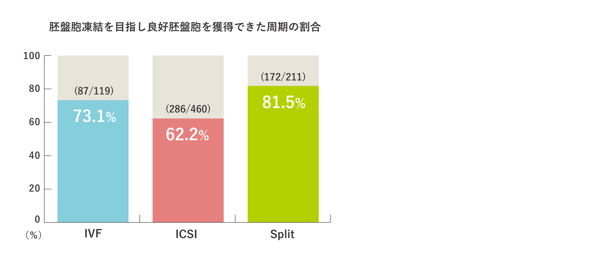 2024年 胚盤胞凍結を目指した周期ごとの成績