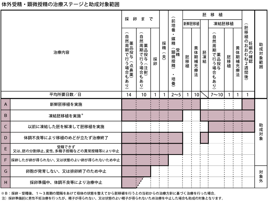 円 静岡 いつ 市 給付 10 万