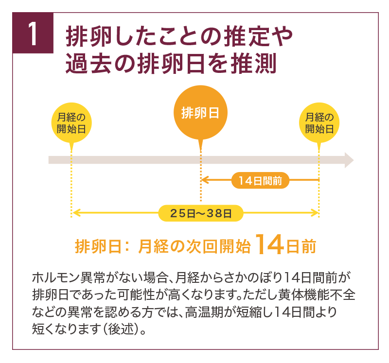 排卵した推定