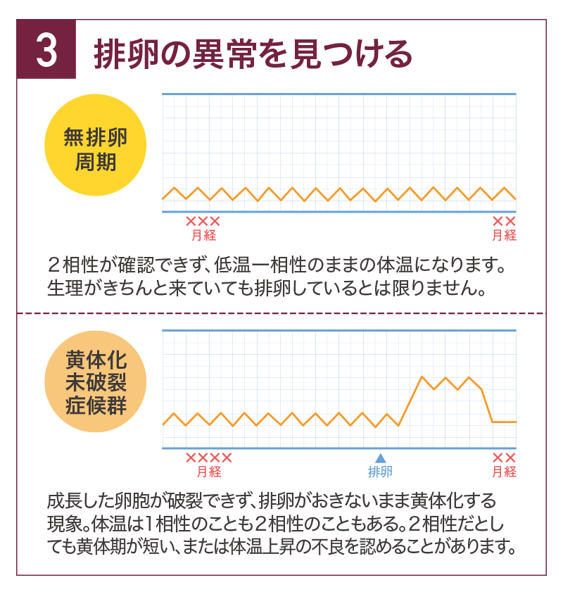 生理 周期 長い