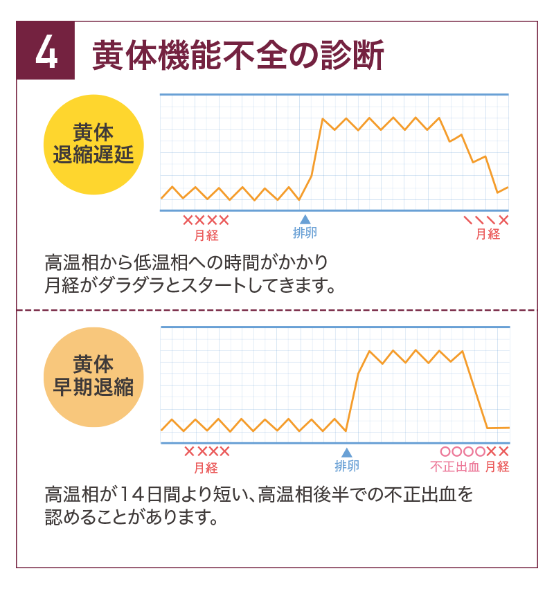 基礎体温について Tawara Ivf Clinic 静岡市の不妊治療専門病院 俵ivfクリニック