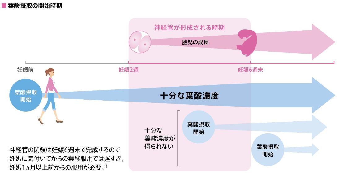 葉酸（elevit）：Tawara IVF Clinic：静岡市の不妊治療専門病院 俵IVFクリニック